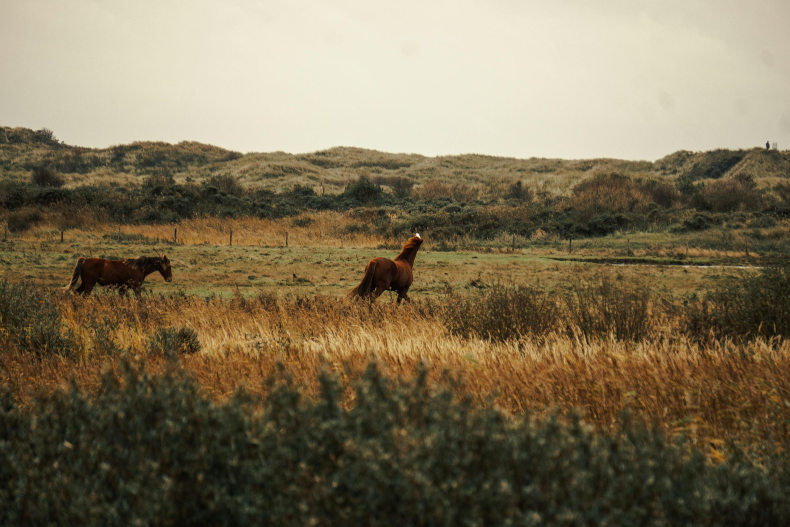 The Essential Guide to Calculating Your Break-Even Point