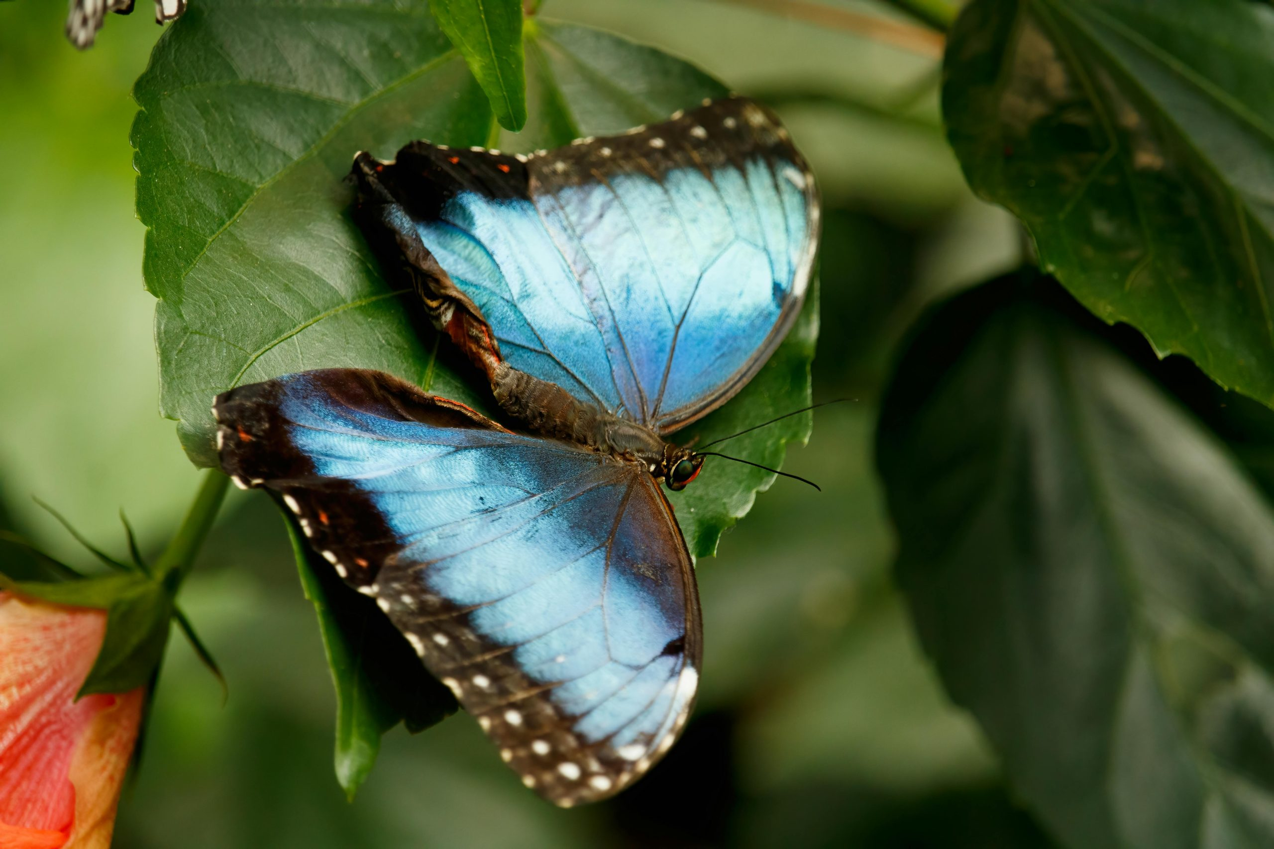 Exploring the World of Sustainable Dyes and Textile Coloring