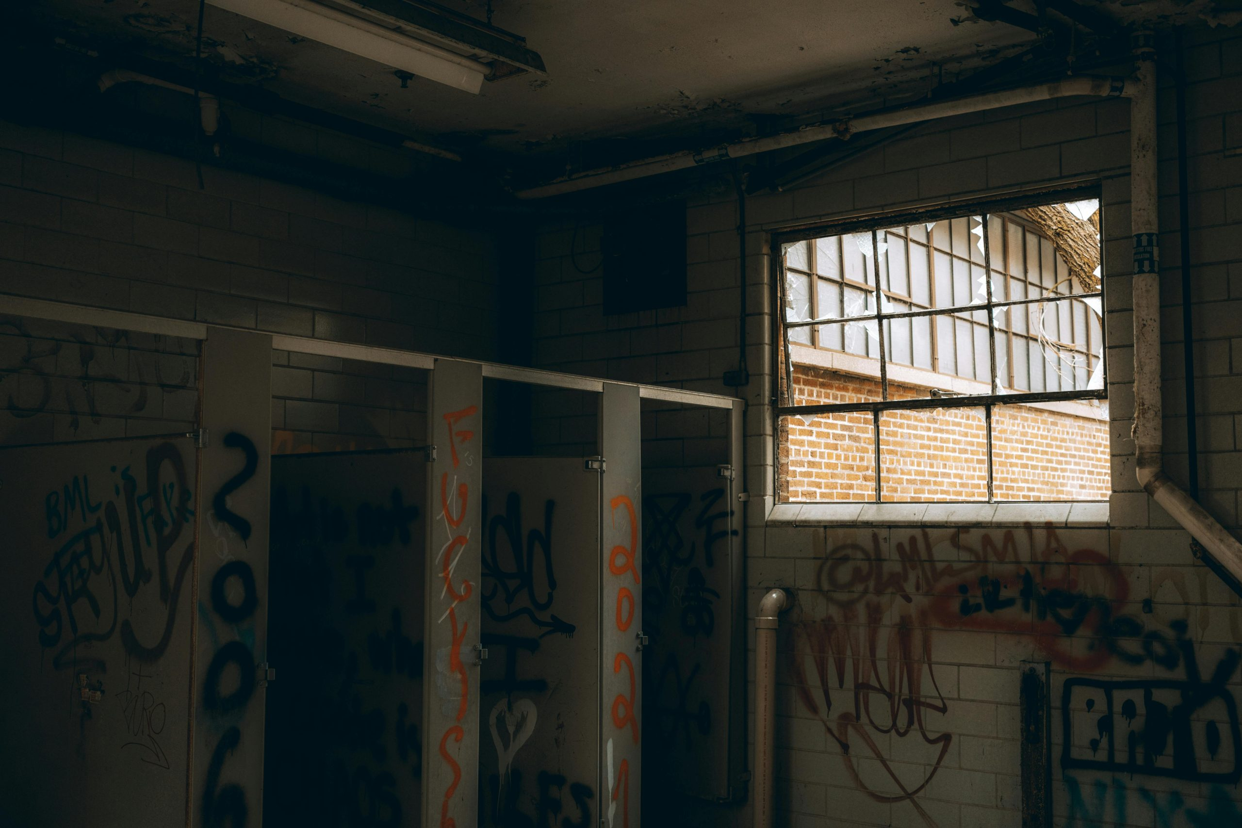 The History of the Symphony Orchestra: Structure and Scale