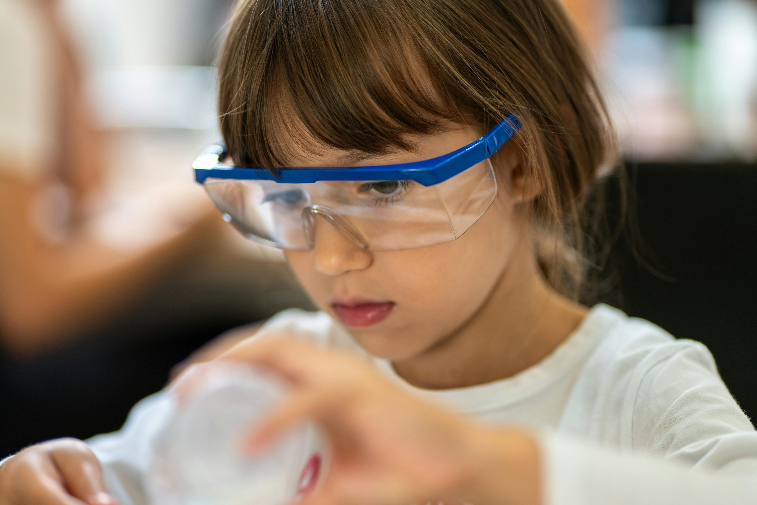 The Role of Educational Policy in Shaping Future Workforce Skills