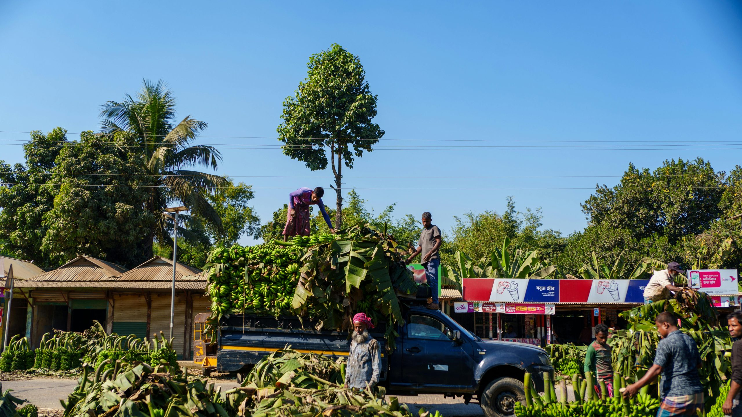 The Impact of Demographics on Local Housing Supply and Demand