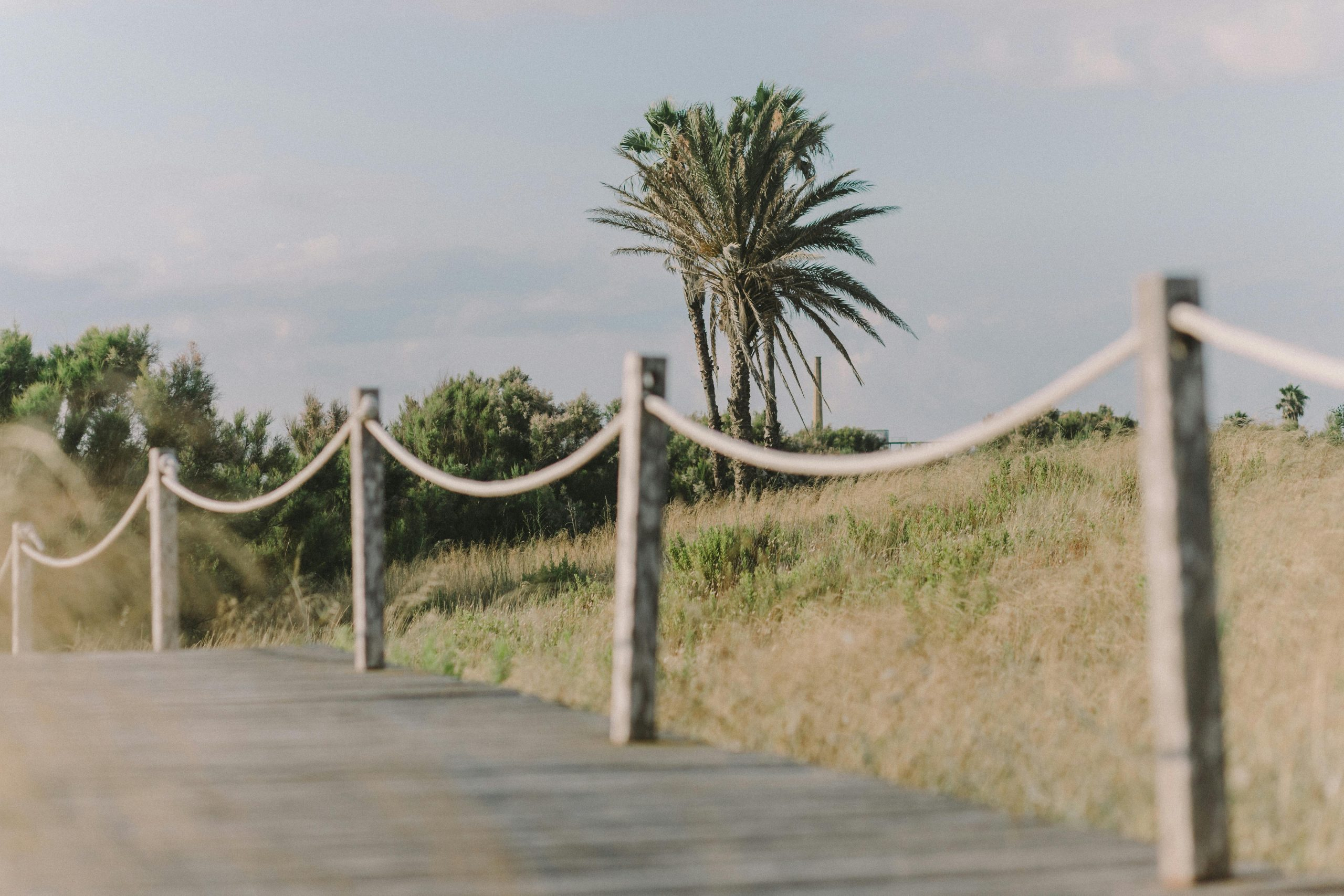 Exploring Non-Traditional Career Paths: Think Outside the Box