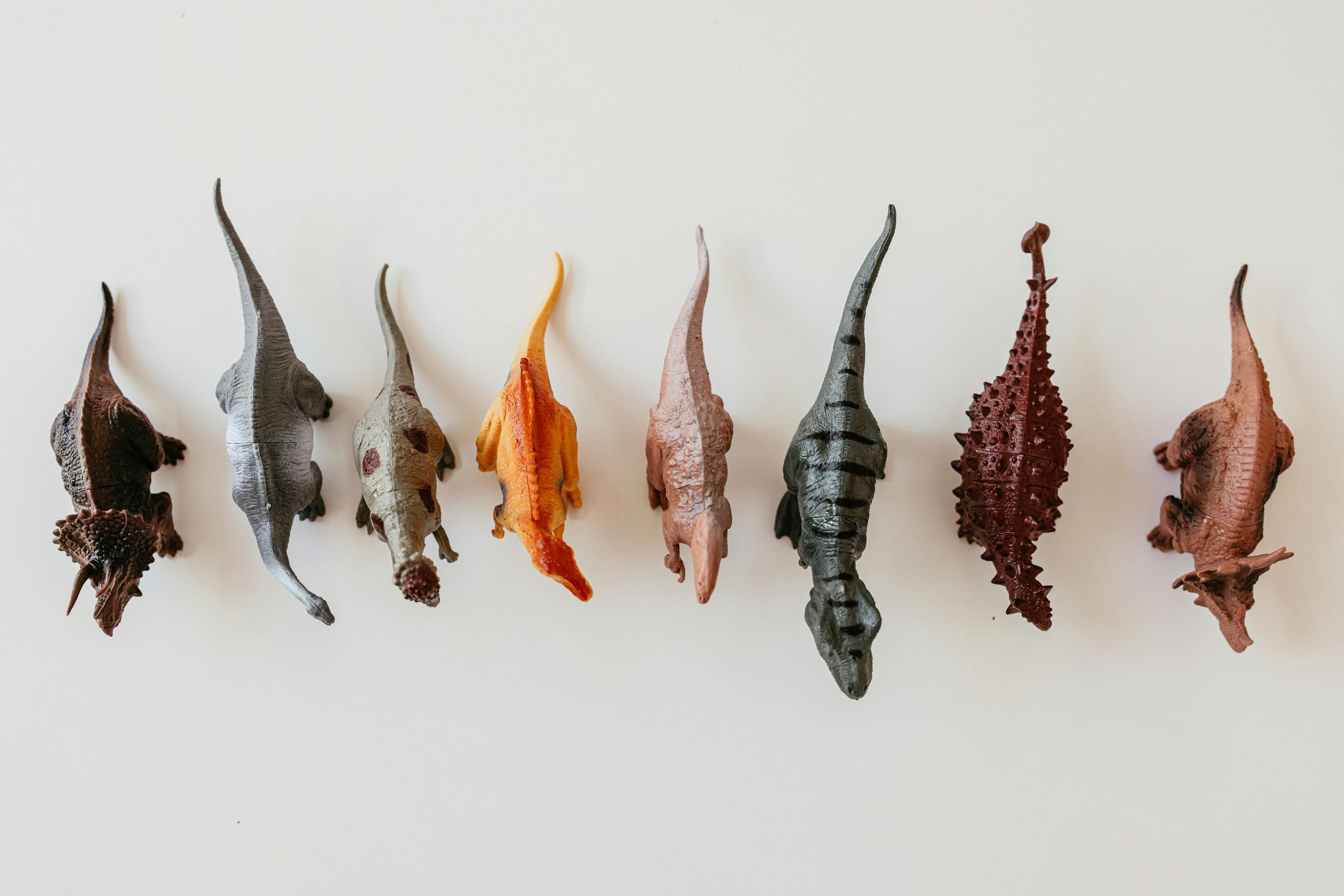 The Shift Towards Competency-Based Education Models Worldwide